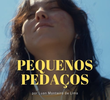 Pequenos Pedaços