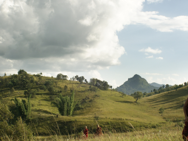 Foto 5 de Golden Kingdom