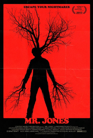 Poster 1 de Filme Mr. Jones (2013)