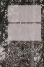 Common Air (Common Air)