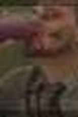 Living with N.A.D.S.: The Jimmy Epson Story (Living with N.A.D.S.: The Jimmy Epson Story)