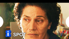 CAMINHOS CRUZADOS | Spot | Hoje nos cinemas