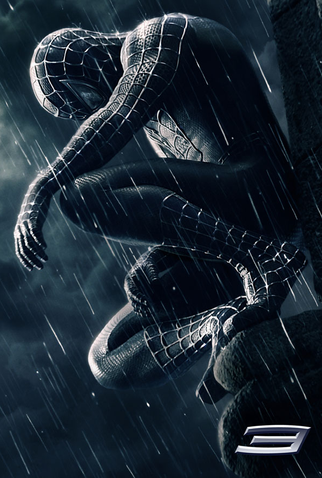 Poster 11 de Filme Homem-Aranha 3 (2007)
