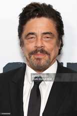 Benicio Del Toro