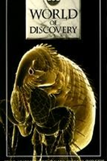  de TV (ABC) Mundo da Descoberta (1990)