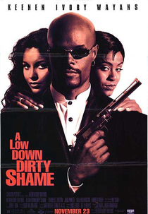 Um Tira Sem-Vergonha (A Low Down Dirty Shame)