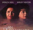 An Unremarkable Life