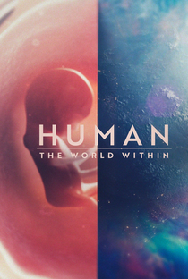 Corpo Humano: Nosso Mundo Interior - Poster / Capa / Cartaz - Oficial 2