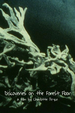 Discoveries on the Forest Floor 1-3 (Discoveries on the Forest Floor 1-3)