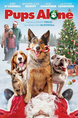 Esqueceram de Nós (Pups Alone: A Christmas Peril)