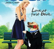Love on a Leash