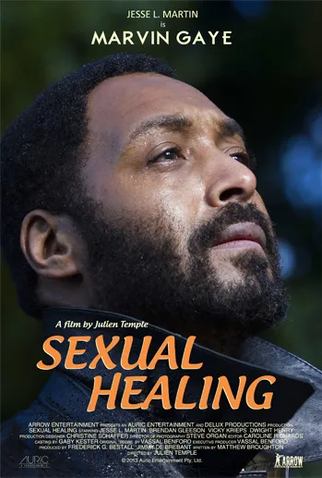 Poster 1 de Filme Sexual Healing (2020)