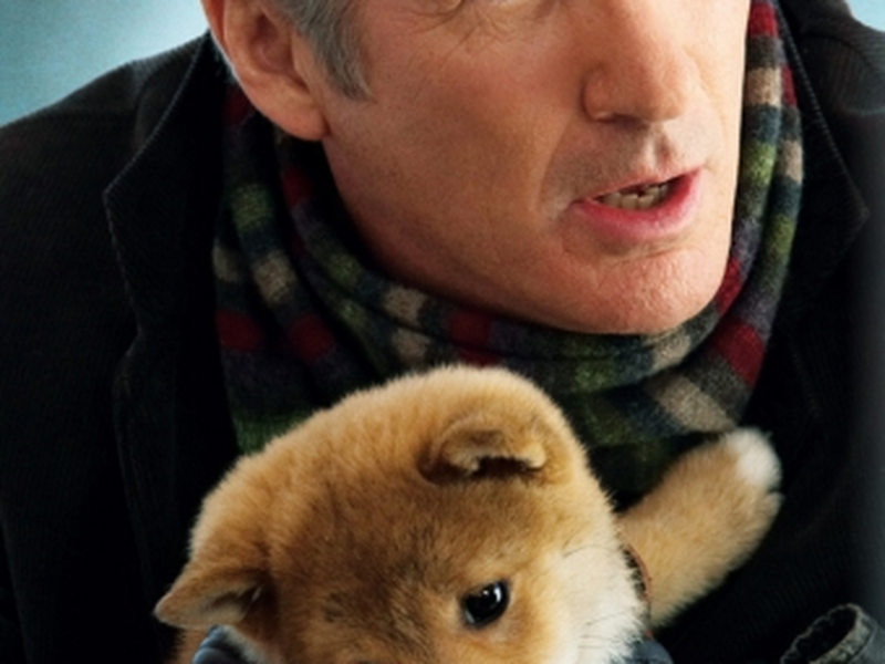 Foto 9 de Sempre ao Seu Lado