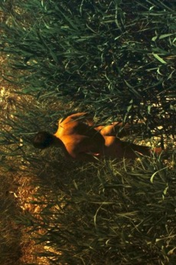 Poster de Curta The Watchmen (2017)