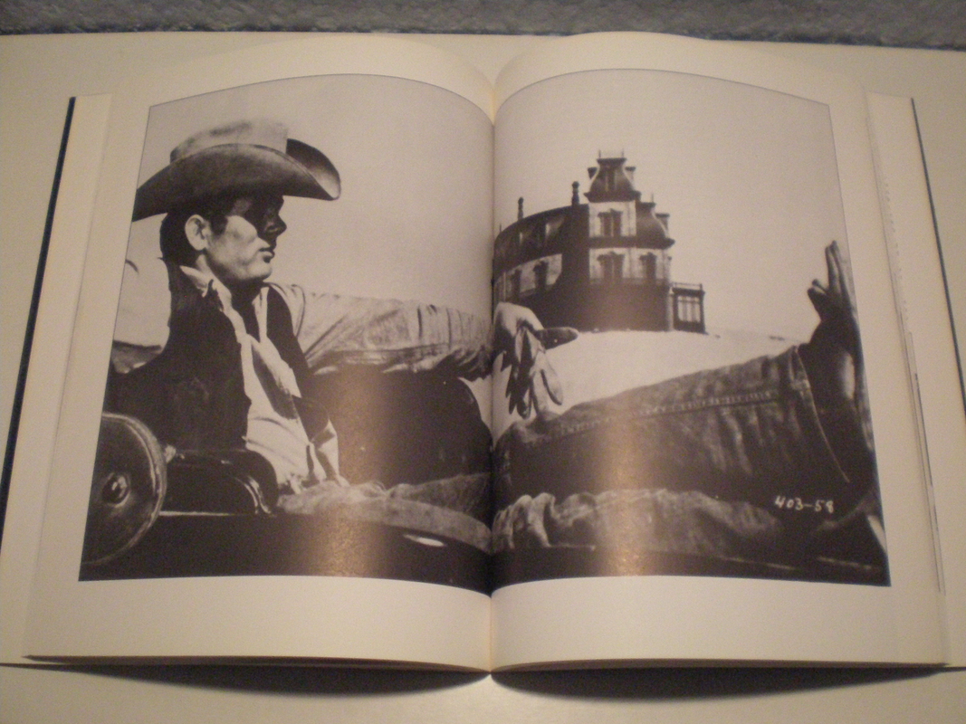 Sylvio Ribeiro - Foto 6