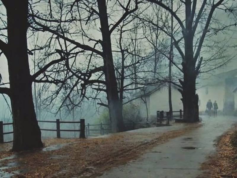 Foto 4 de The Reading Boy