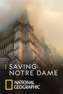 Reconstrução da Catedral de Notre Dame - Poster / Capa / Cartaz - Oficial 1
