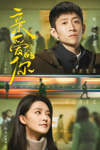 Poster de Série The Wonderful World (2025)