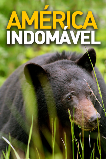 Poster de Série América Indomável (2012)