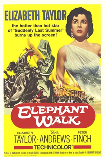 No Caminho dos Elefantes - Poster / Capa / Cartaz - Oficial 1