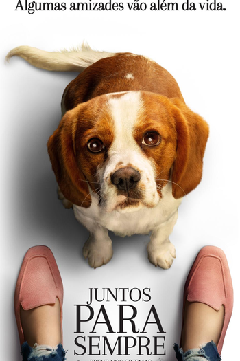  de Filme Juntos Para Sempre (2019)