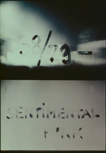 38/79: Sentimental Punk (38/79: Sentimental Punk)