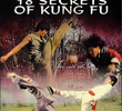 18 Secrets of Kung Fu