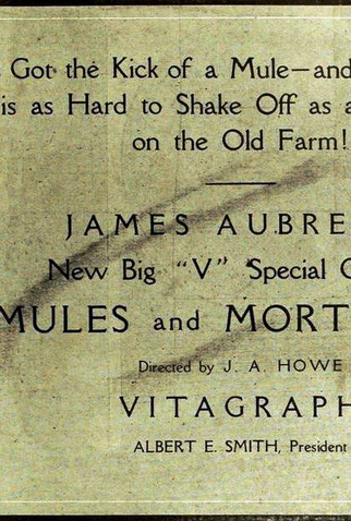 Poster 2 de Curta Mules and Mortgages (1919)
