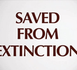 Salvos da Extinção