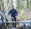 Into the Wild