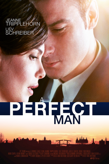 Poster de Filme Um Homem Perfeito (2013)