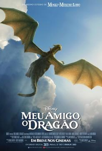 Meu Amigo, O Dragão - Poster / Capa / Cartaz - Oficial 3