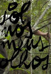 O Sol nos Meus Olhos (O Sol nos Meus Olhos)