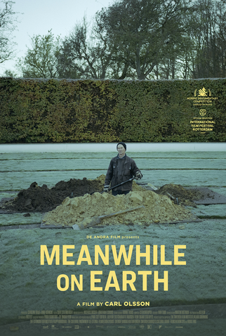 Poster 1 de Filme Meanwhile on earth (2020)
