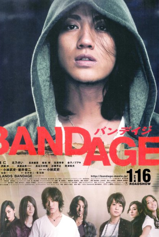 Poster 1 de Filme Bandage (2010)