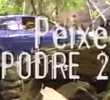 Peixe Podre 2