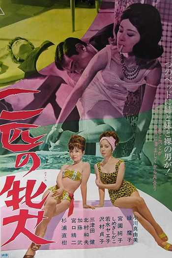 Poster de Filme Night Ladies (1964)