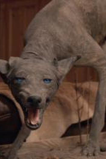 Poster de Episódio Strange Creatures (2019)