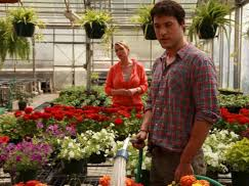 Foto 6 de Katie Fforde: Ein Teil von dir