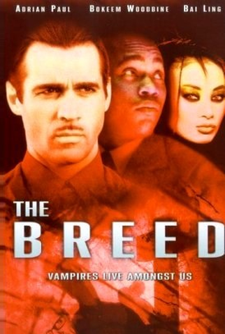 Poster 4 de Filme Cidade dos Vampiros (2001)