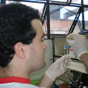 Foto de perfil de Felipe Alberto Augusto
