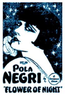 Flor da Noite - Poster / Capa / Cartaz - Oficial 1