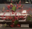 Hit and Run