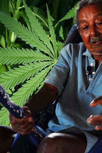 Poster de Curta Dirijo (2010)