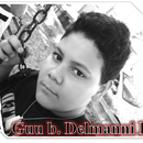 Foto de perfil de ϟ Guu b. Delmanni