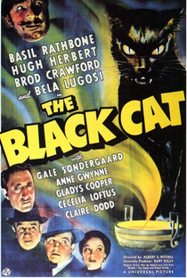 O Gato Negro - Poster / Capa / Cartaz - Oficial 1