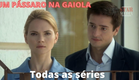 UM PÁSSARO NA GAIOLA.  Todas as séries.  Melodrama.  Este filme vale a pena assistir!