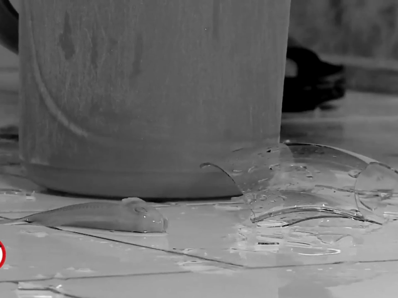 Foto 6 de The Fish and I