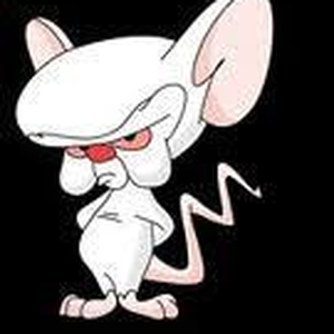 Foto de perfil de Rafael