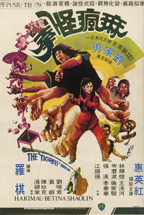The Tigress of Shaolin - Poster / Capa / Cartaz - Oficial 1